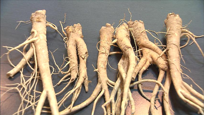 발효 도라지, 아토피 치료 효과 입증