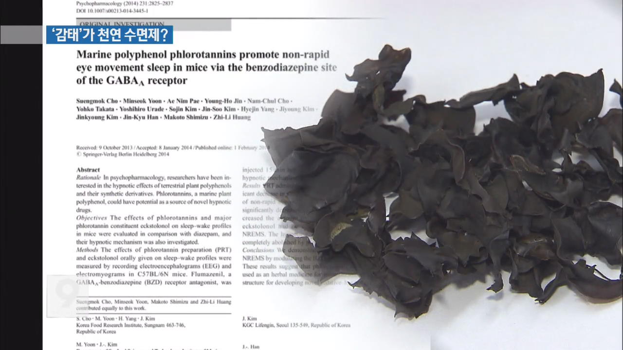 ‘불면증’ 잡는 해조류 ‘감태’…건강기능식품 인정