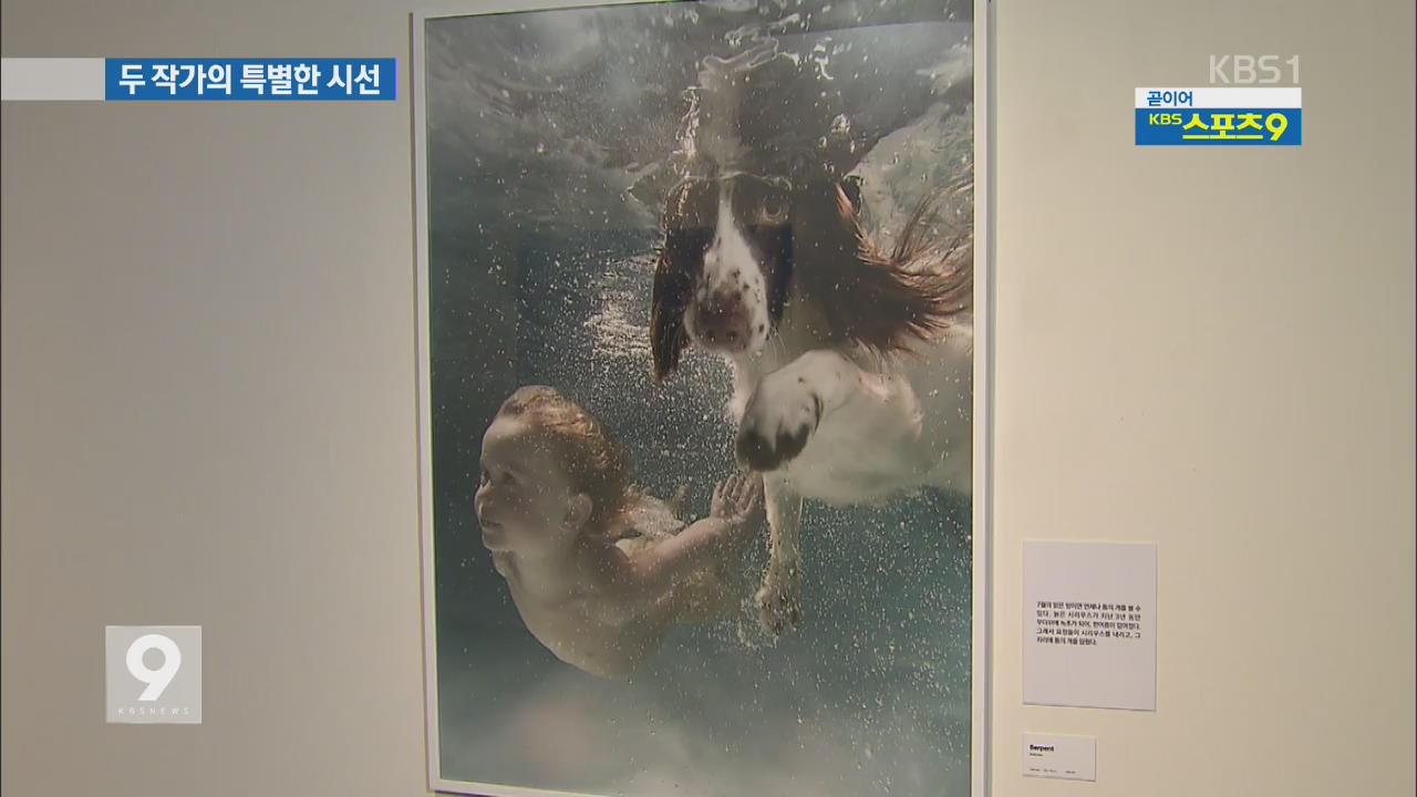 물 속에서, 거울 앞에서…두 작가의 특별한 시선