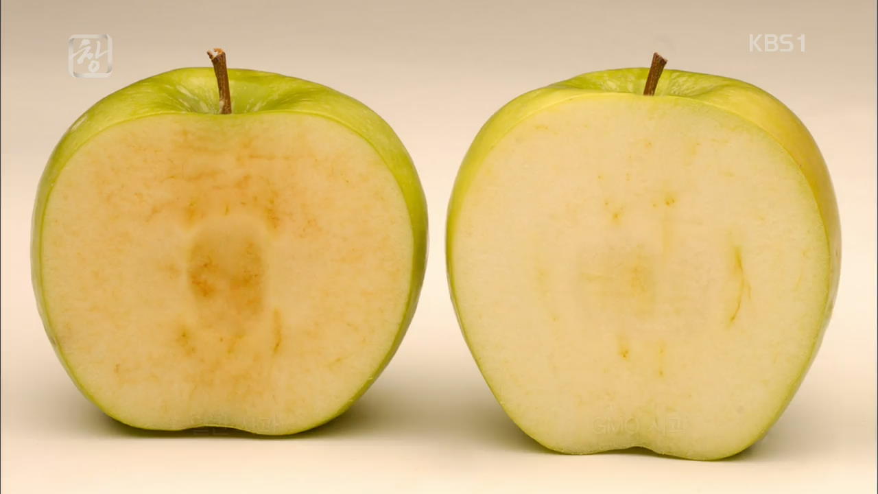 식탁 위 GMO, 알고 먹읍시다