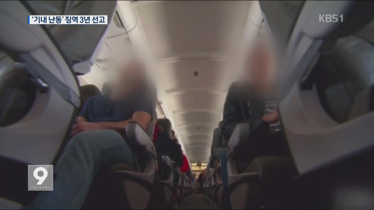美 법원, 기내난동 40대 한국 의사 징역 3년선고