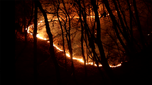 경기도 과천 야산 화재…산 300㎡ 소실