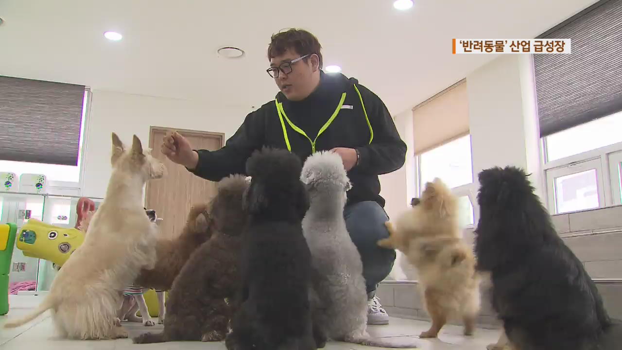 ‘반려동물 산업’ 급성장…동물학대 처벌 강화