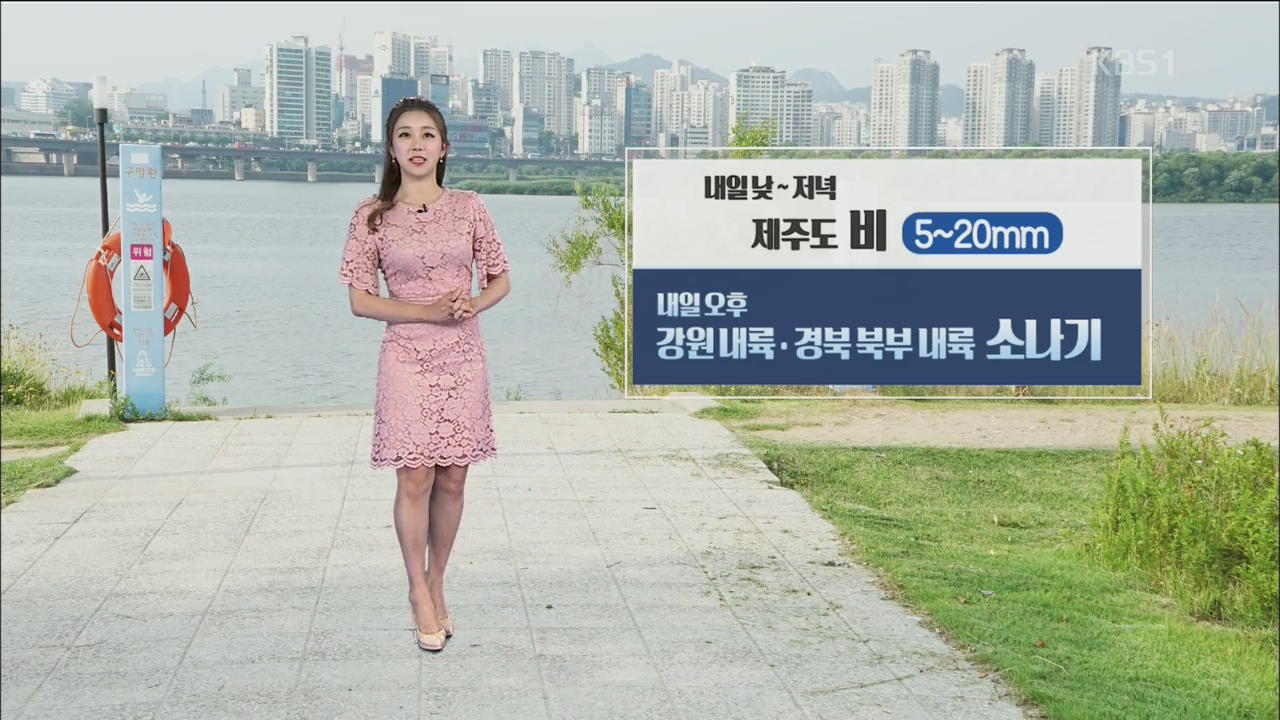 내일도 폭염 계속…제주도 비