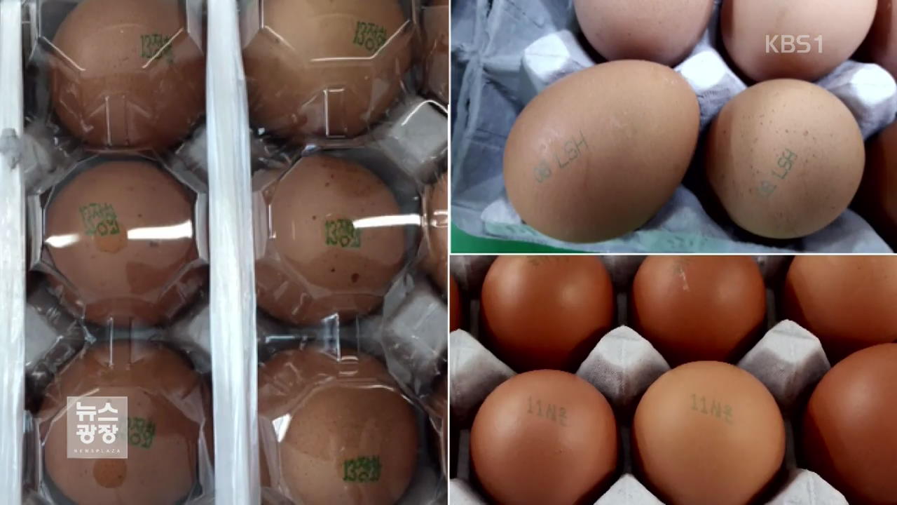 살충제 달걀, 과도한 공포 ‘경계’…어린이는 유의