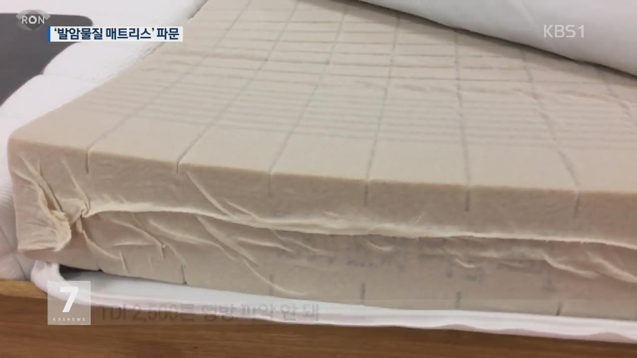 유럽, ‘발암물질’ 매트리스·베개·車 시트 파문