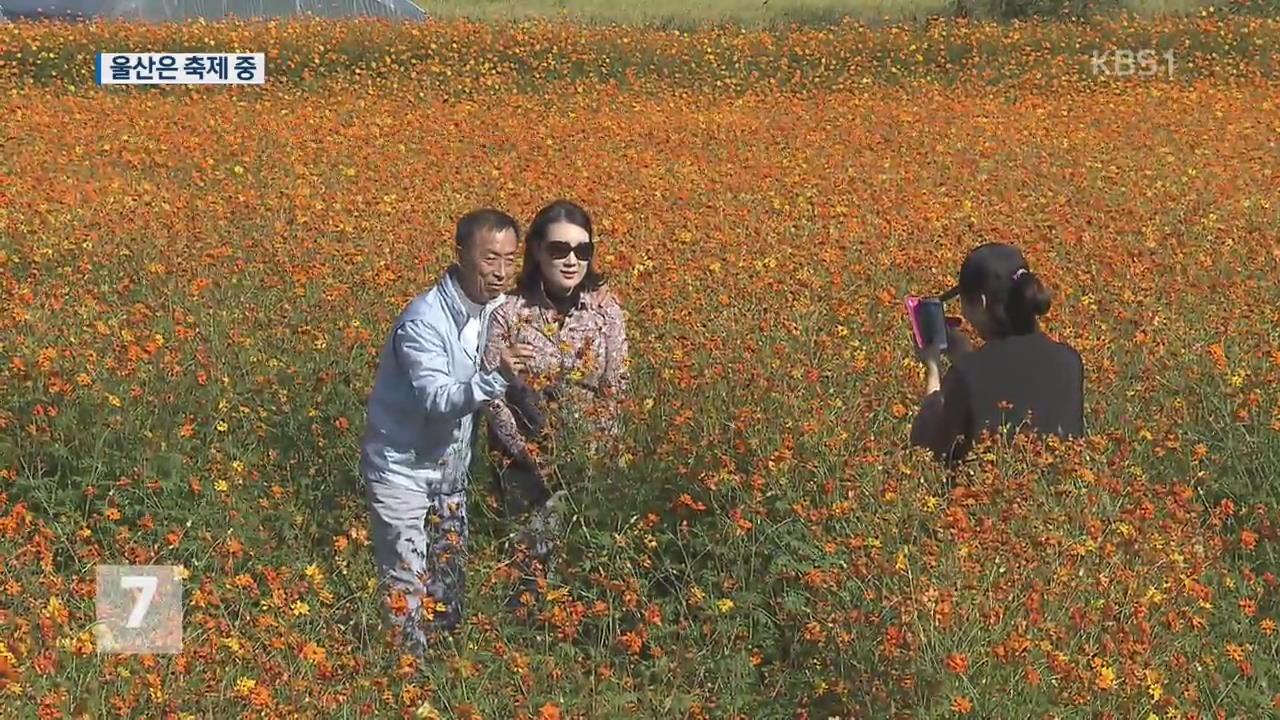 “먹고 보고 즐기고!”…울산 축제 풍성