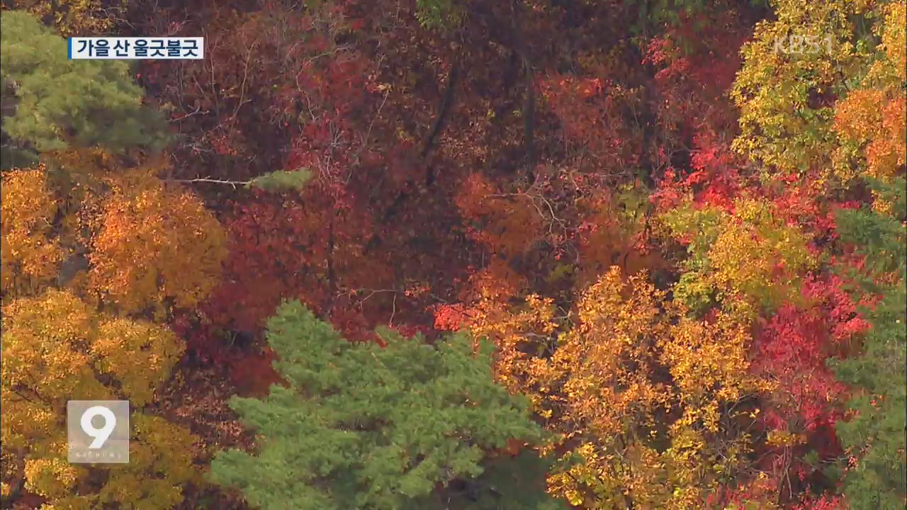 전국 단풍 명소 ‘울긋불긋’…오대산은 이미 절정