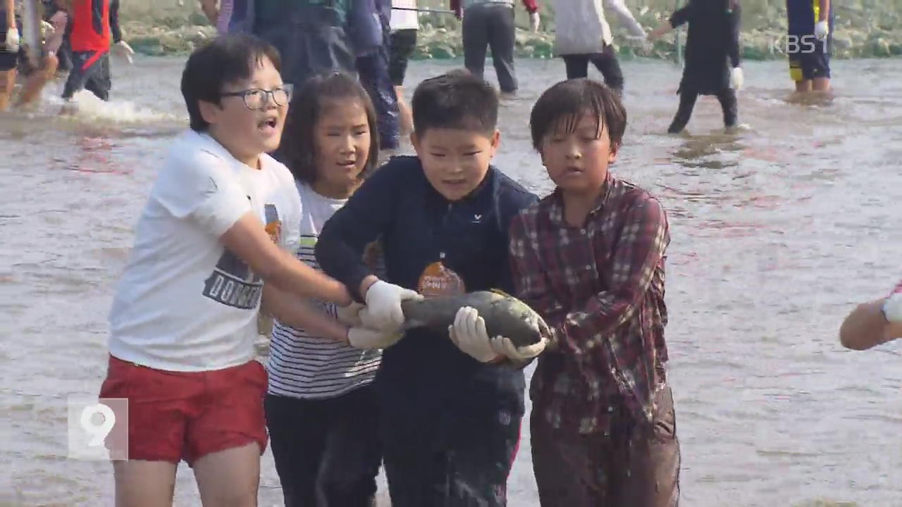 먹고 보고 즐기고…가을 축제 속으로!