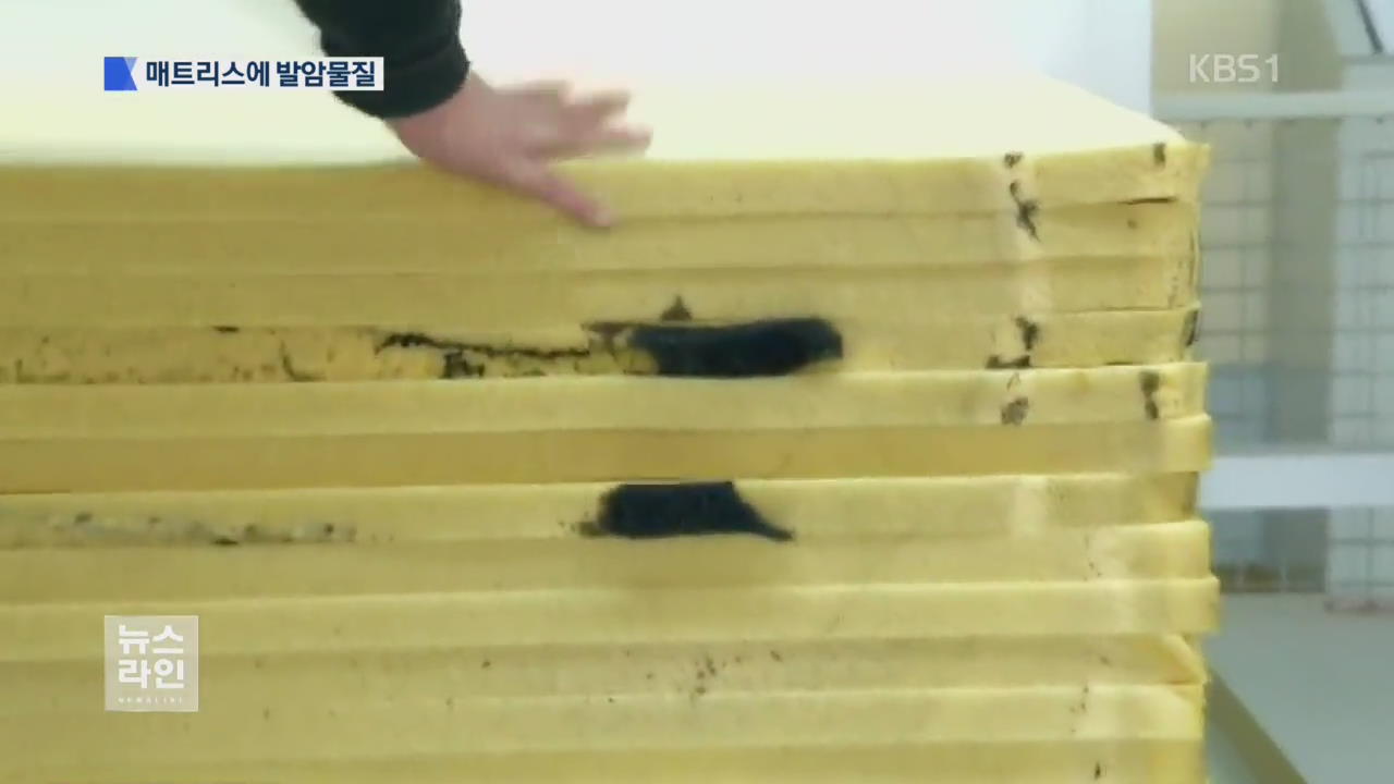 유럽서 발암물질 매트리스 파문