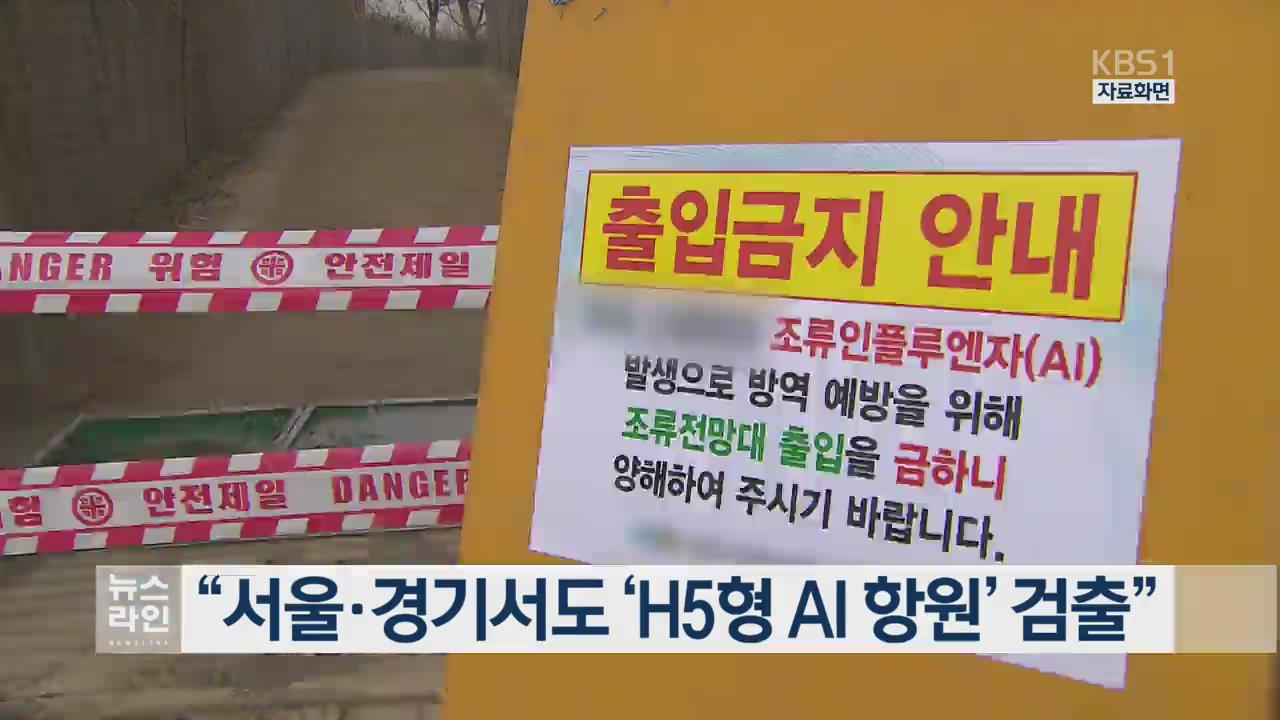 “서울·경기서도 ‘H5형 AI 항원’ 검출”