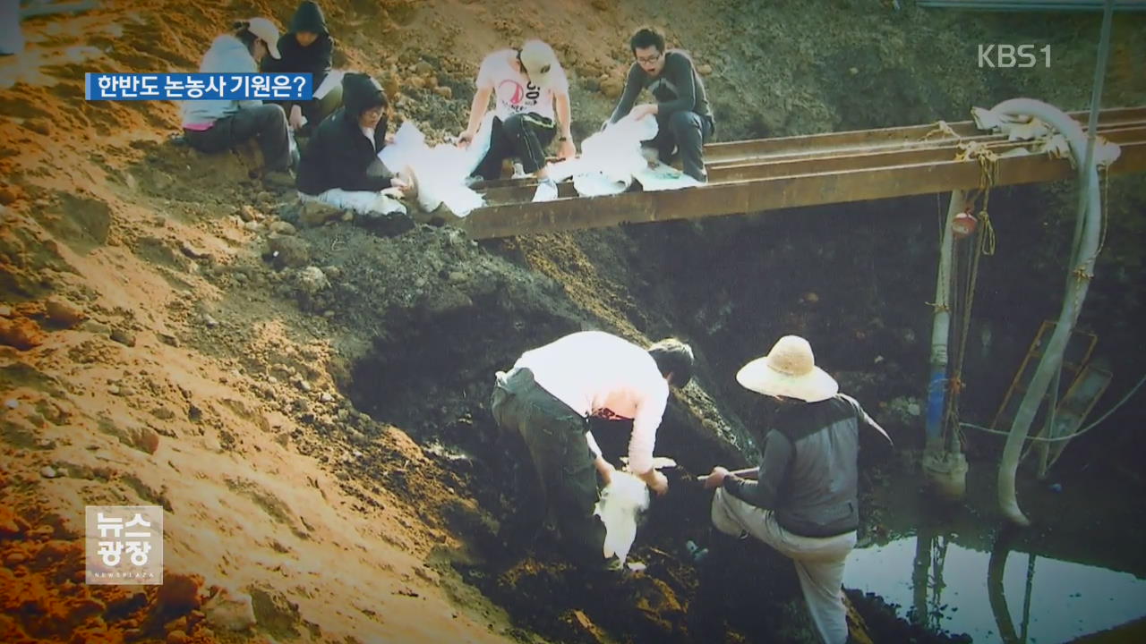 김포서 ‘쌀 꽃가루 화석’ 검출…“3,500년 전 논농사”