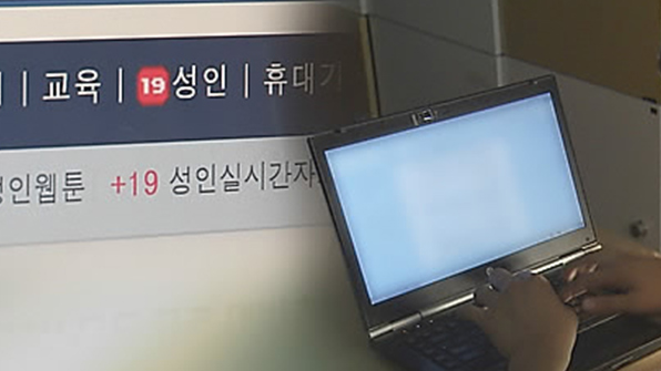 “음란물 주인공” 엉뚱한 여성 사진 인터넷 공개 20대 실형