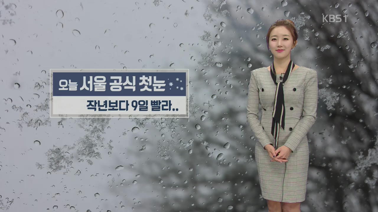 서울 ‘첫눈’ 공식 관측…지난해보다 9일 빨라