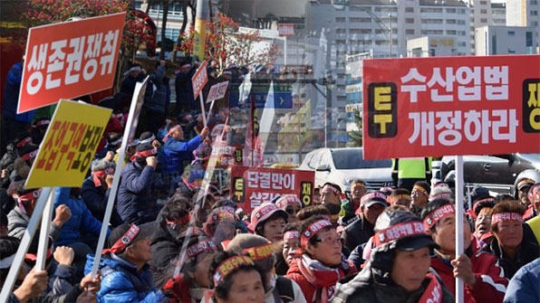 목포-신안 때아닌 ‘낙지 전쟁’…어민 충돌 사연은?