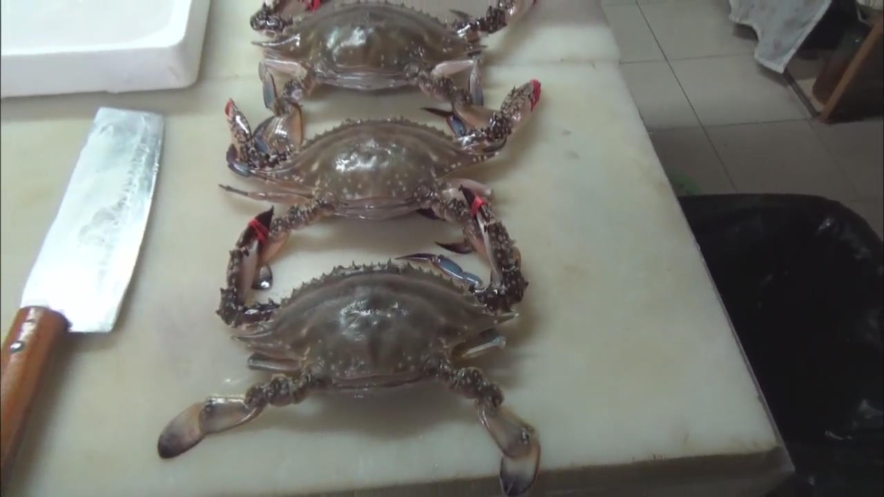 Seafood Smuggling