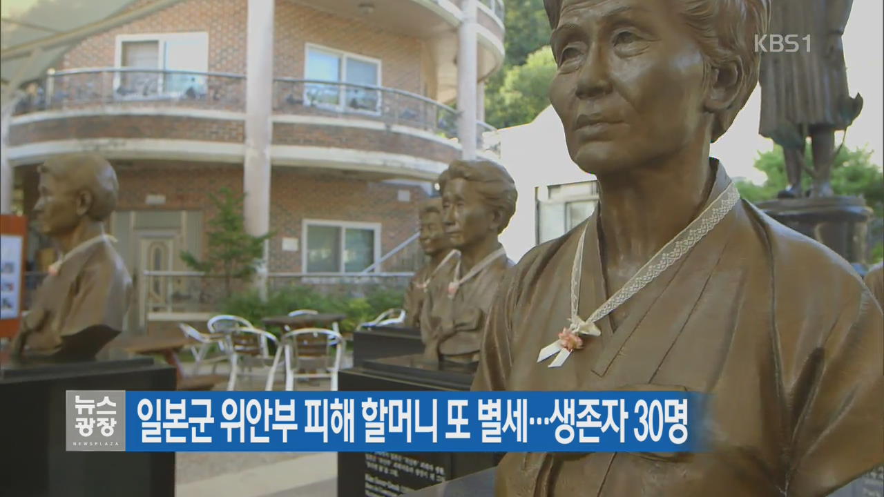 일본군 위안부 피해 할머니 또 별세…생존자 30명