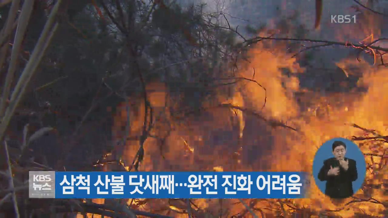 삼척 산불 닷새째…완전 진화 어려움