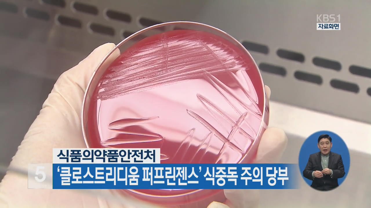 ‘클로스트리디움 퍼프린젠스’ 식중독 주의 당부