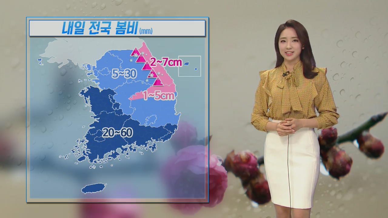 내일 전국 봄비…낮 기온 오늘보다 떨어져