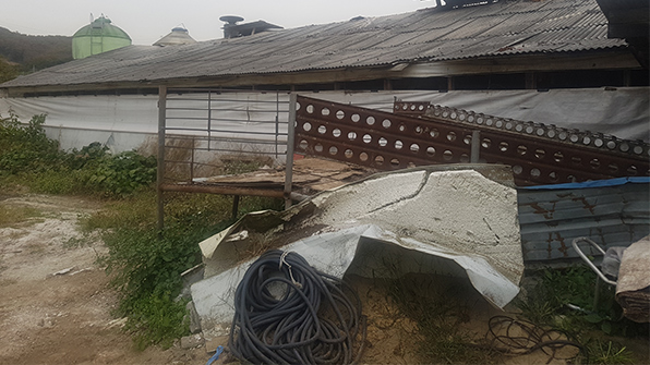 용인 포곡읍 축산농가 48곳, 악취관리지역 지정