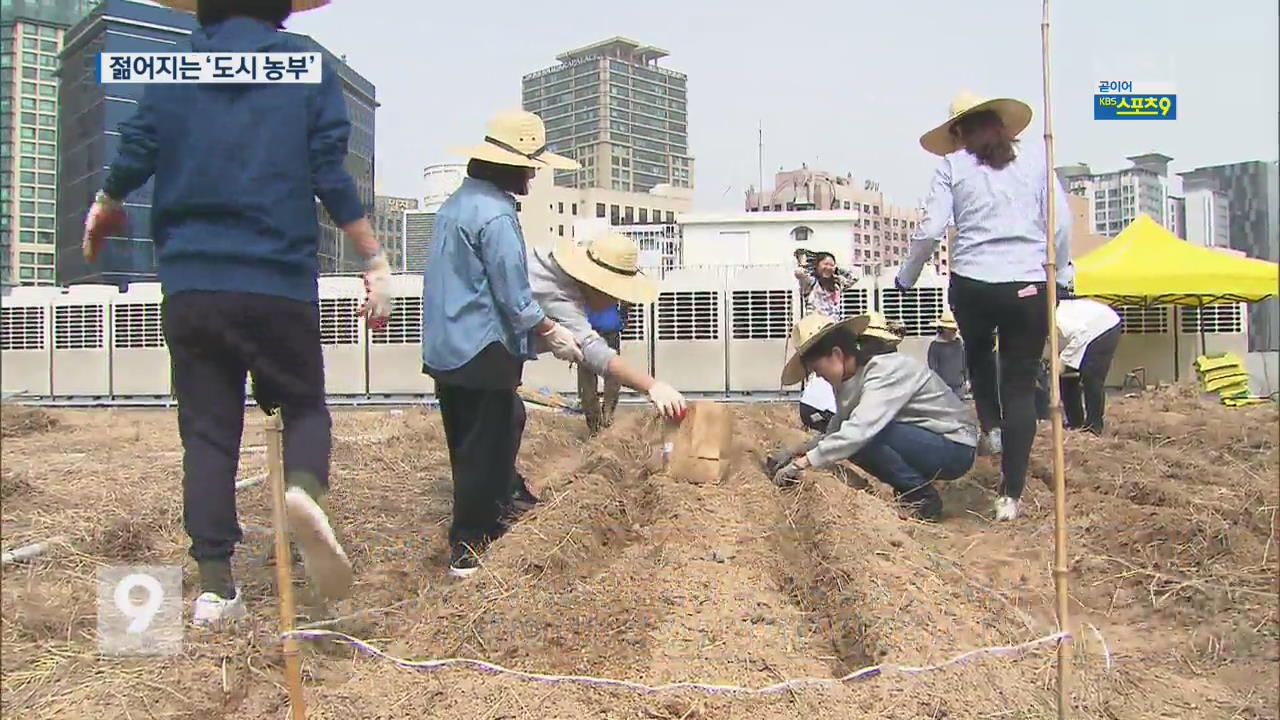 “직접 길러 먹어요”…도심 속 ‘청년 농부’가 뜬다