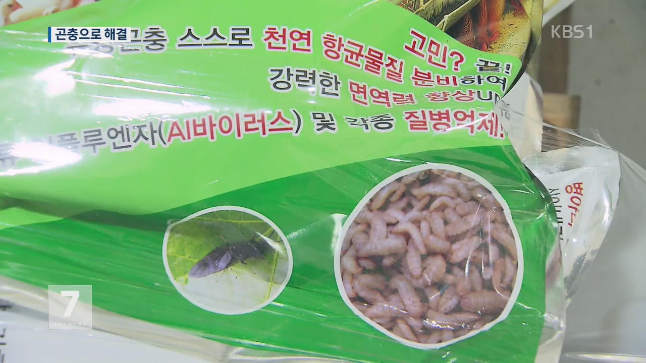 ‘처치 곤란’ 음식물 쓰레기, 곤충으로 해결한다