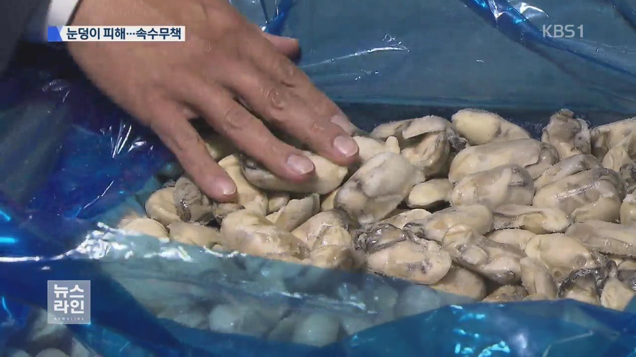 패류독소 손실 ‘눈덩이’…속수무책