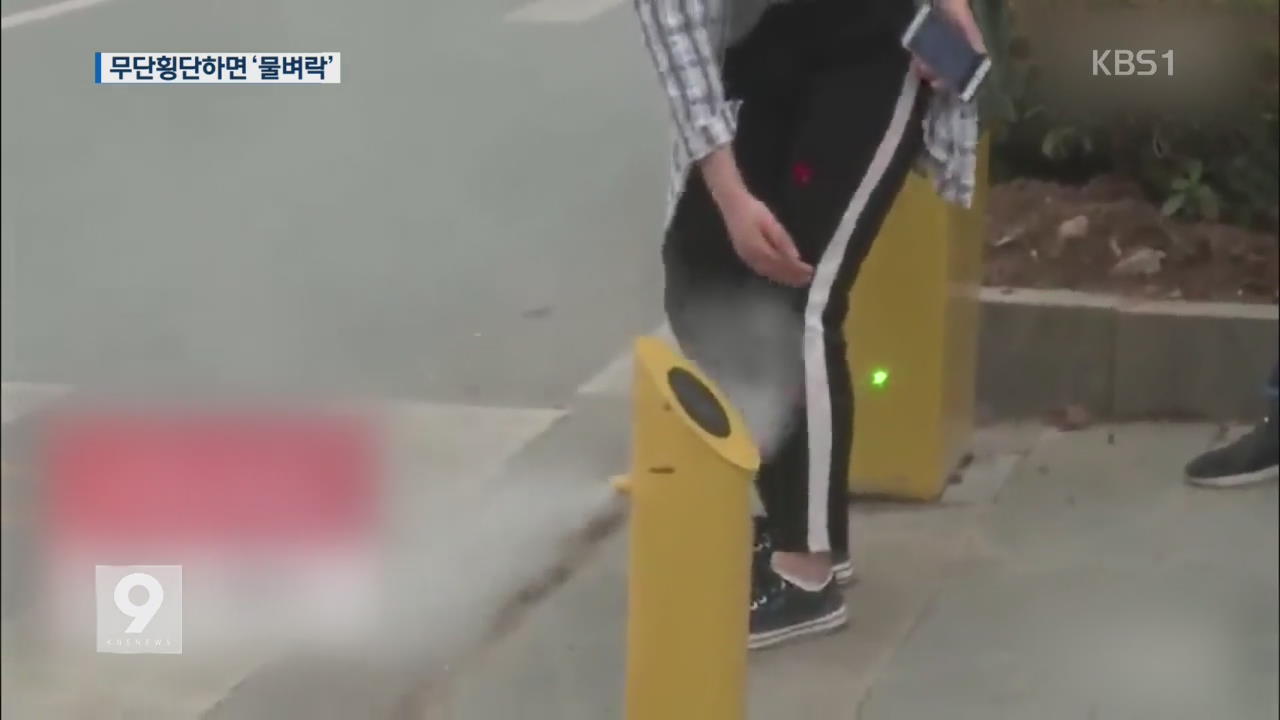 中서 무단횡단하면 ‘물벼락’…특단조치 효과는?
