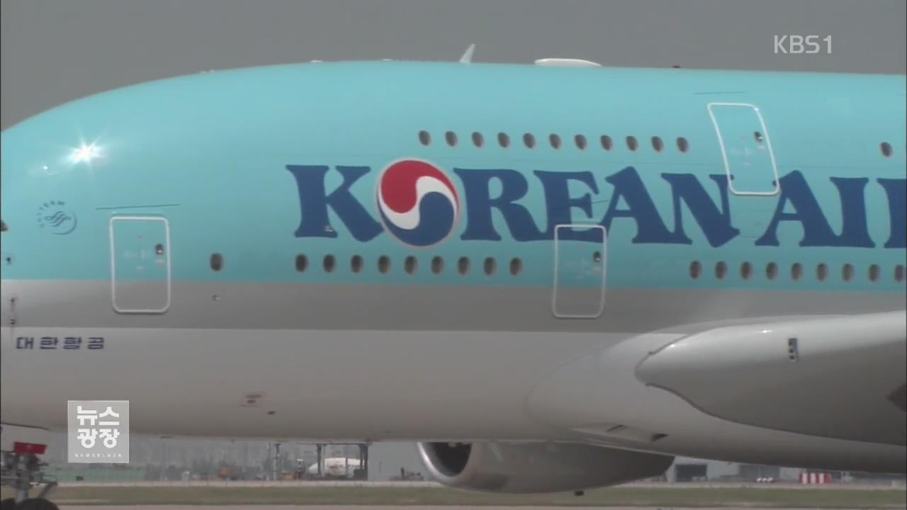 국토부, ‘땅콩회항’ 뒷북 징계 착수…“꼼수” 비판