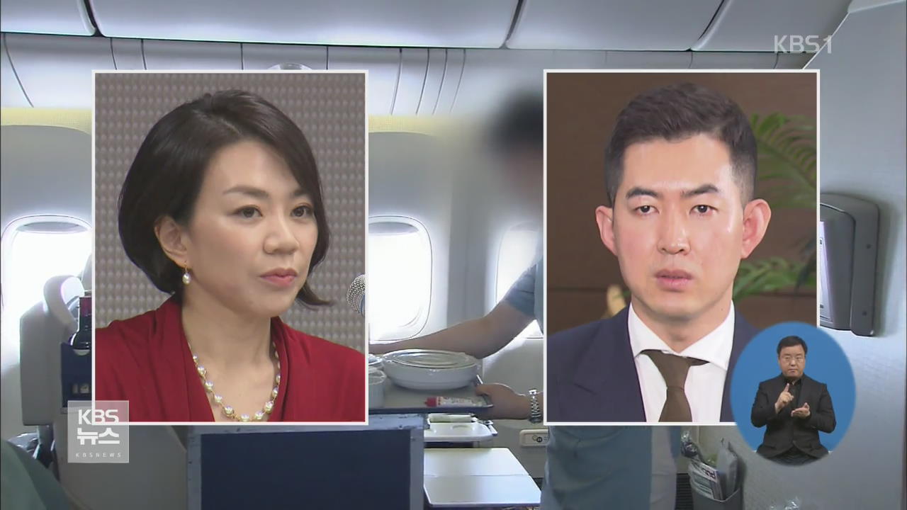 국토부, ‘땅콩회항’ 뒷북 징계 착수…“꼼수”