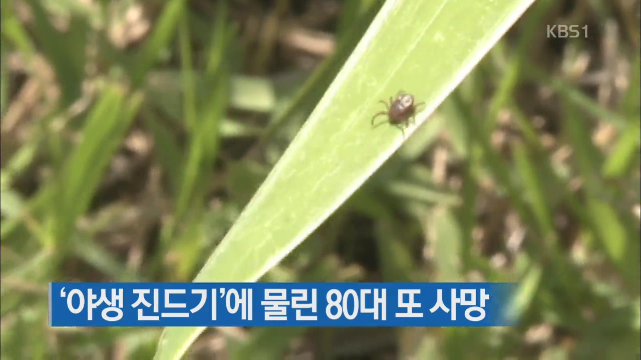 ‘야생 진드기’에 물린 80대 또 사망