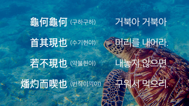 ‘거북아, 머리를 내어라’ 설명했다가 성희롱 몰린 여고 교사