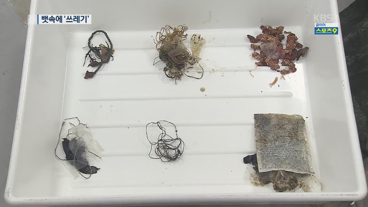 멸종위기 바다거북 ‘수난’…해양 쓰레기를 먹이로?