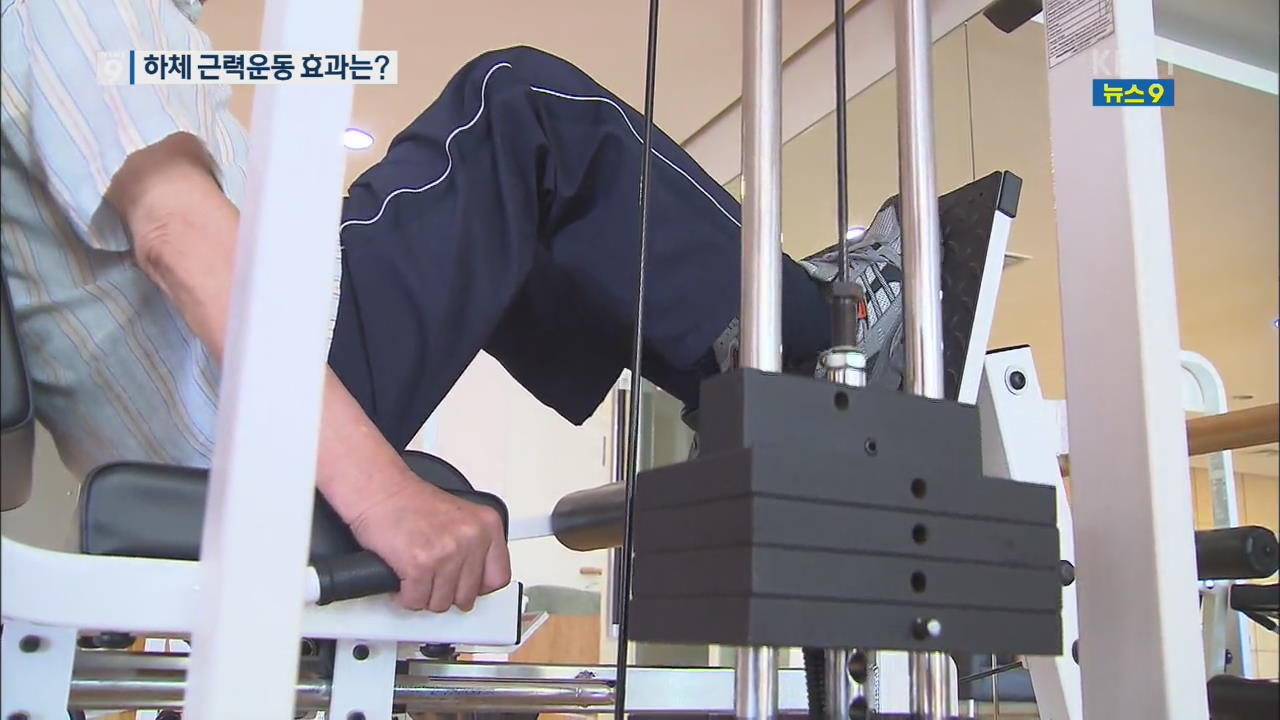 노인 하체 근력 운동, 폐기능 개선!