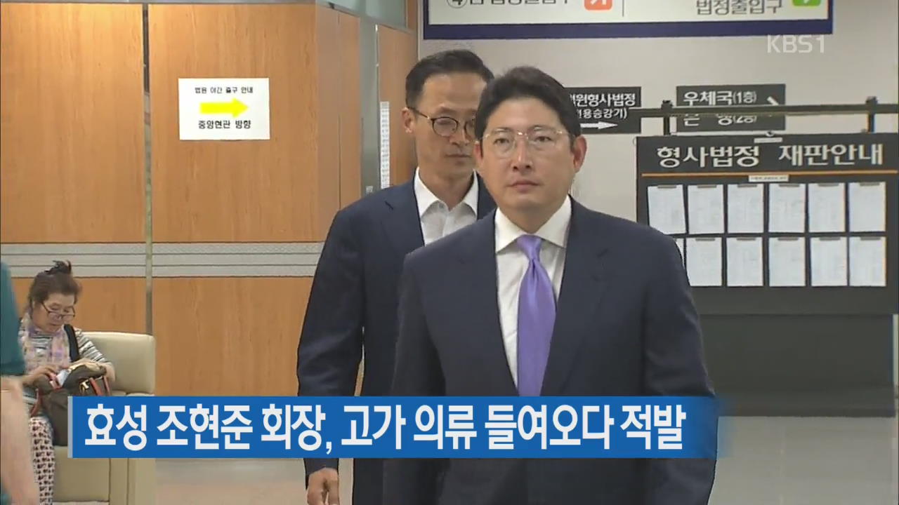 효성 조현준 회장, 고가 의류 들여오다 적발