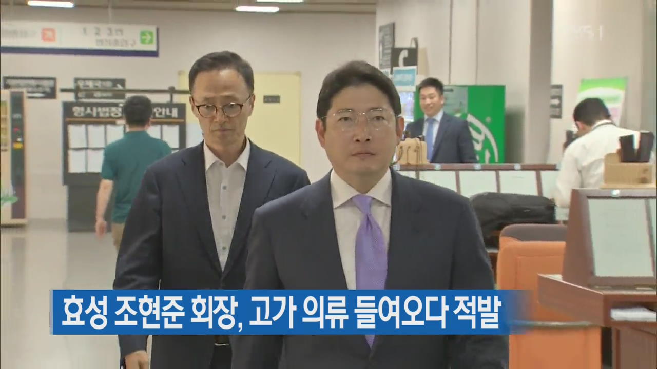 효성 조현준 회장, 고가 의류 들여오다 적발