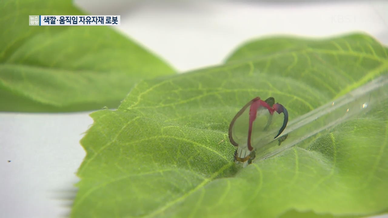 색깔·움직임 자유자재…카멜레온 로봇 온다!