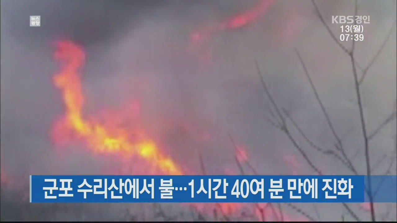 군포 수리산에서 불…1시간 40여 분 만에 진화