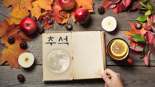 ‘고스톱보다 재밌는(?) 책 4권’ 골라봤습니다.