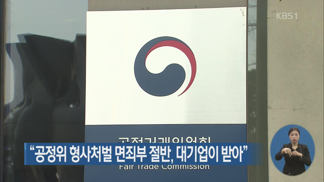 “공정위 형사처벌 면죄부 절반, 대기업이 받아”
