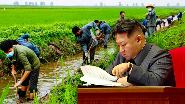 북한 ‘최악의 식량난’ 대책, 결국 농민 쥐어짜기?