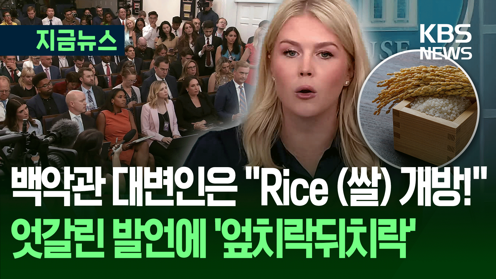 ‘역사적 쌀 개방’ 백악관 발표 ‘어리둥절’…정부 “협의 안 한 게 확실” [지금뉴스]