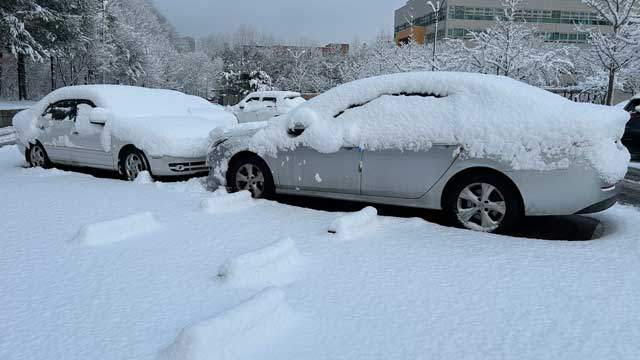 전국 대부분 대설 특보…강원 영동 최대 40cm↑