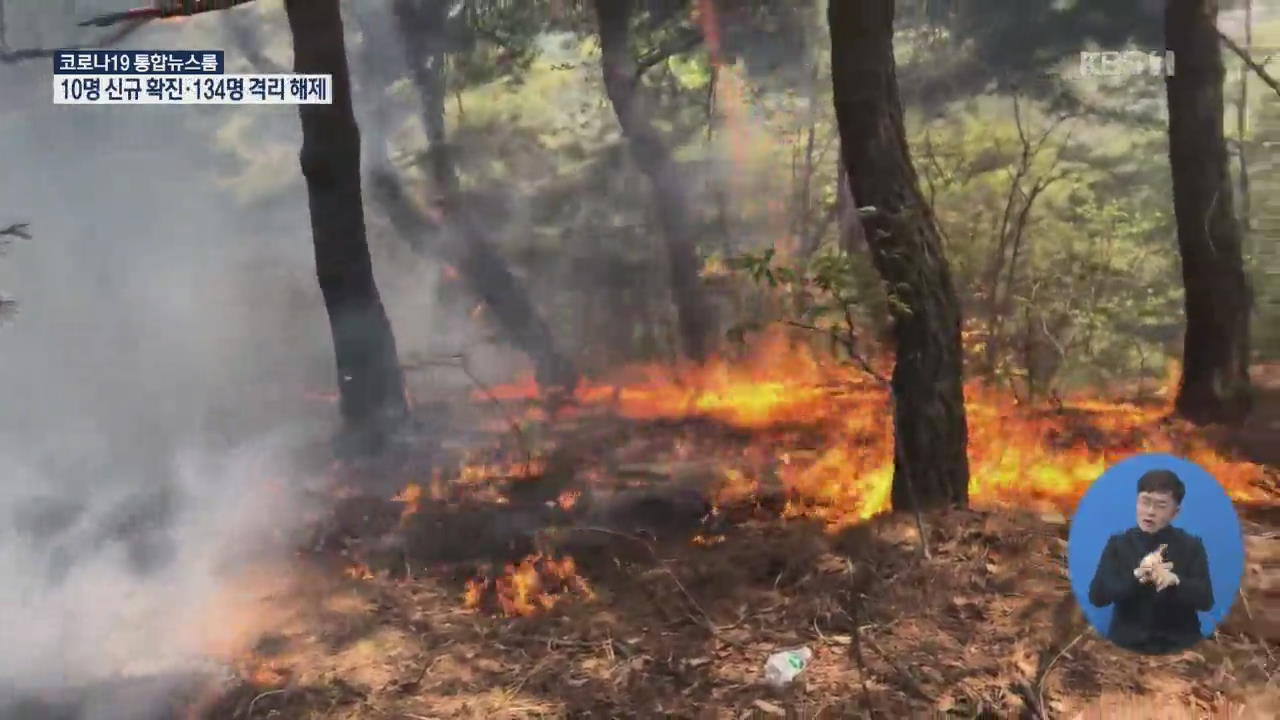 안동 산불 강풍에 재발화…또 주민 대피령