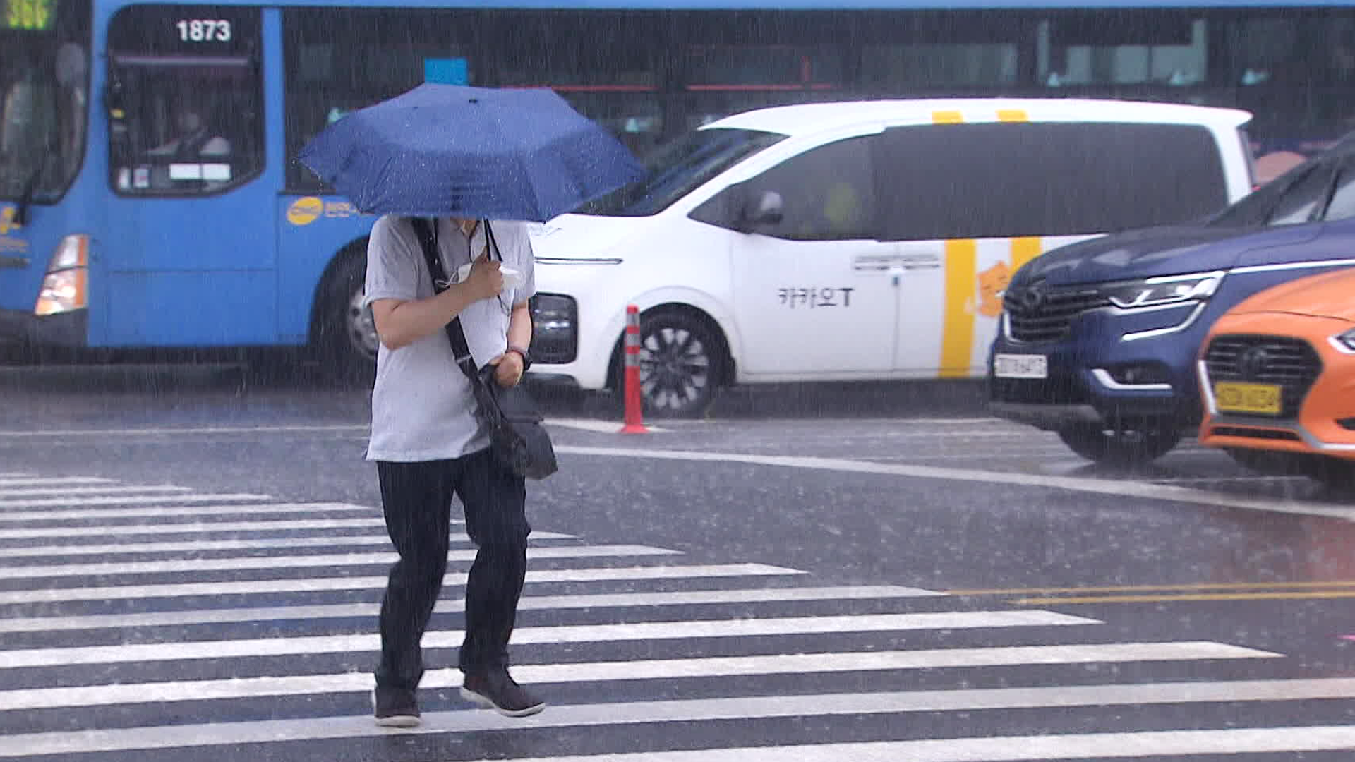 “2100년, 절반이 아열대화”…점점 빨라진다